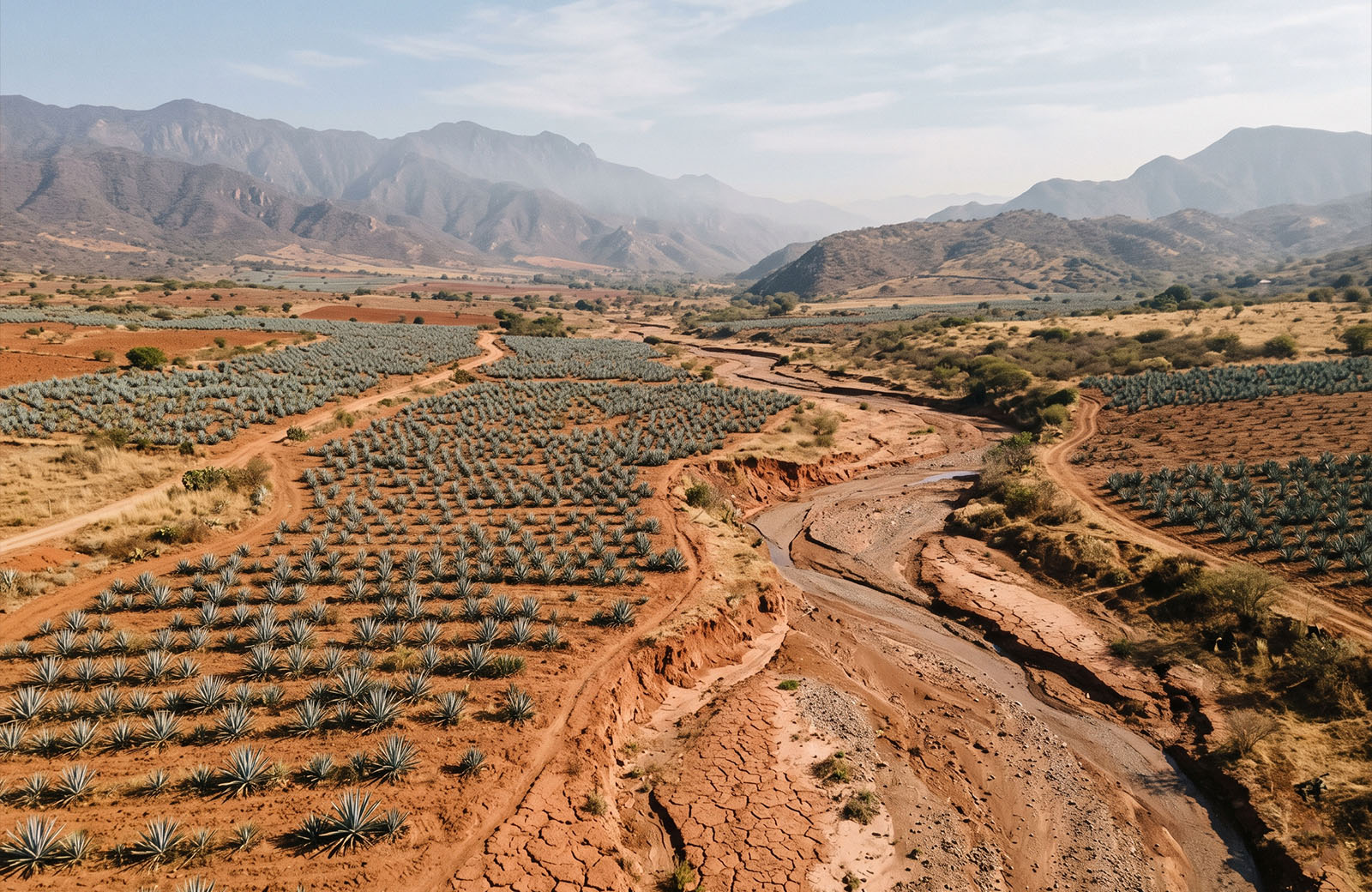 Aerial view of Oaxacan valley showing terracotta earth, agave fields, and clay riverbed